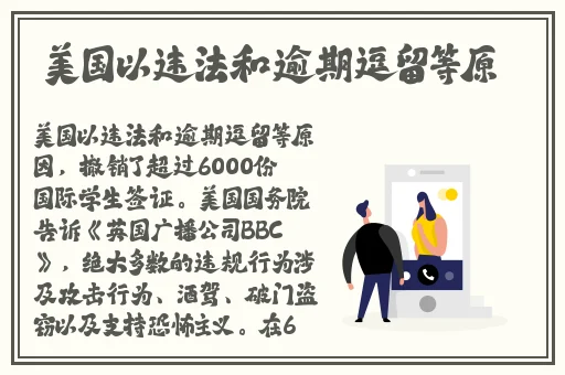 毛茸茸多**BBB**多视频